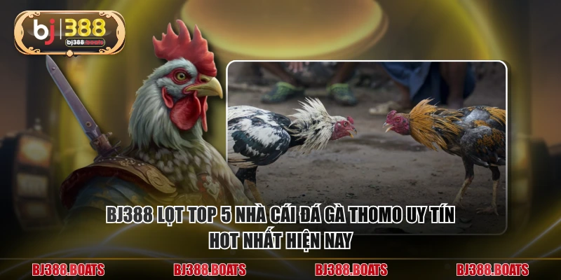 BJ388 lọt top 5 nhà cái đá gà thomo uy tín hot nhất hiện nay