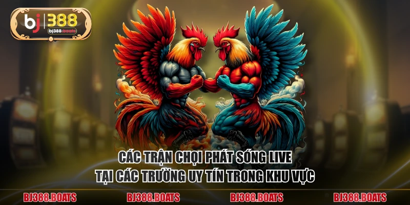Các trận chọi phát sóng live thừ các trường uy tín trong khu vực
