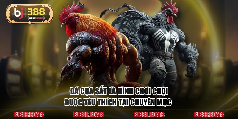 Đá cựa sắt là hình chơi chọi được yêu thích tại chuyên mục 