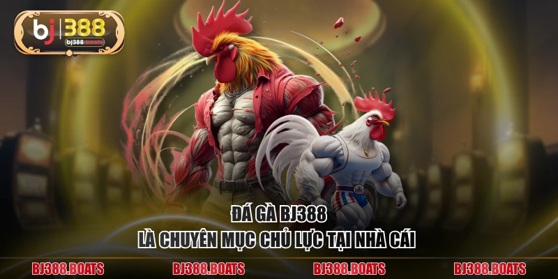 Đá gà BJ388 là chuyên mục chủ lực tại nhà cái 