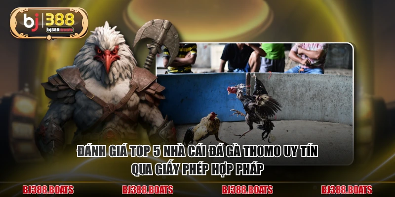 Đánh giá top 5 nhà cái đá gà thomo uy tín qua giấy phép hợp pháp