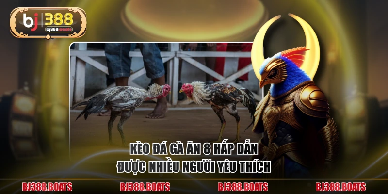 Kèo đá gà ăn 8 hấp dẫn được nhiều người yêu thích
