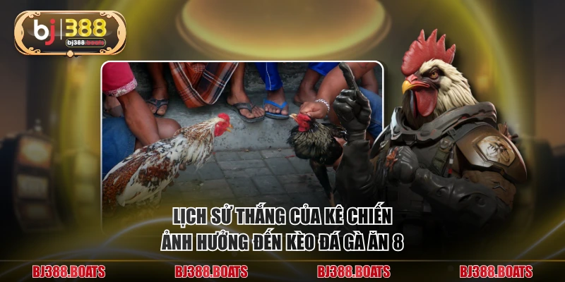 Lịch sử thắng của kê chiến ảnh hưởng đến kèo đá gà ăn 8