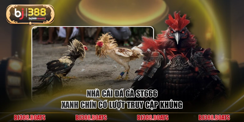 Nhà cái đá gà ST666 xanh chín có lượt truy cập khủng