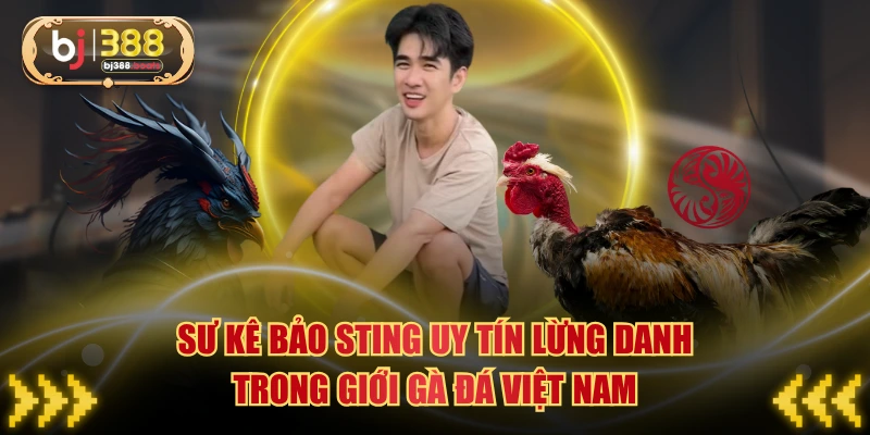 Bảo Sting