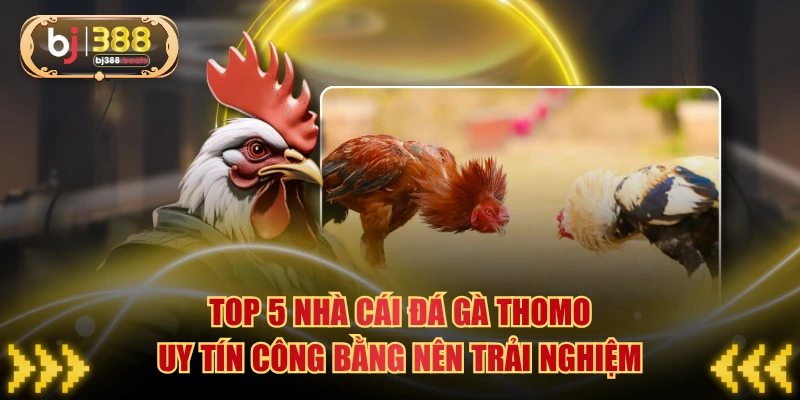 Top 5 Nhà Cái Đá Gà Thomo Uy Tín